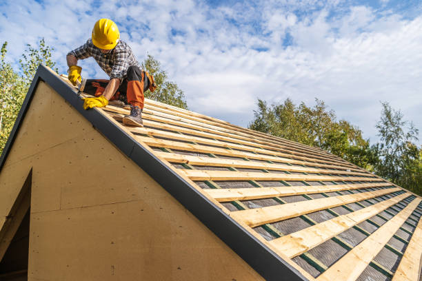 Best Storm Damage Roof Repair  in Waldron, AR