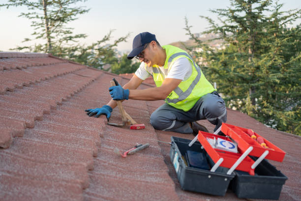 Best Tile Roofing Contractor  in Waldron, AR