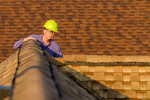Professional Roofing Contractor in Waldron, AR